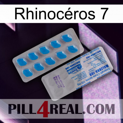 Rhinocéros 7 new15